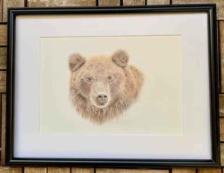 Original tegning af grizzlybjørn